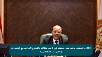 4000 وظيفة.. فرص عمل مميزة في 8 محافظات بالقطاع الخاص مع الشروط والمرتبات التفصيلية